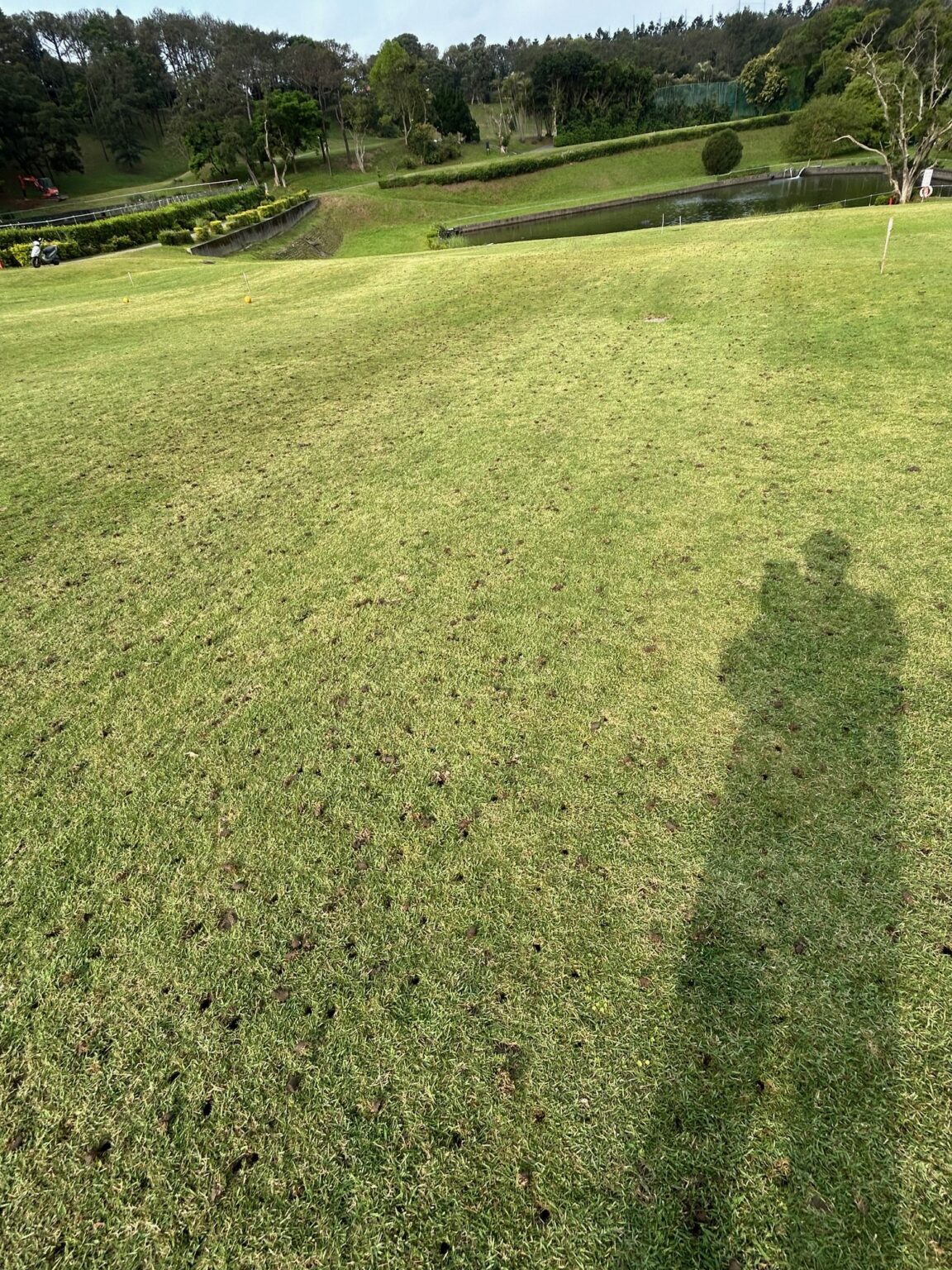 高爾夫球場球道草坪遭地下害蟲蠐螬大範圍危害